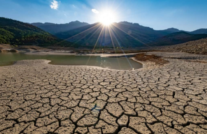 Captura-de-pantalla-2024-02-19-161223-700x454
