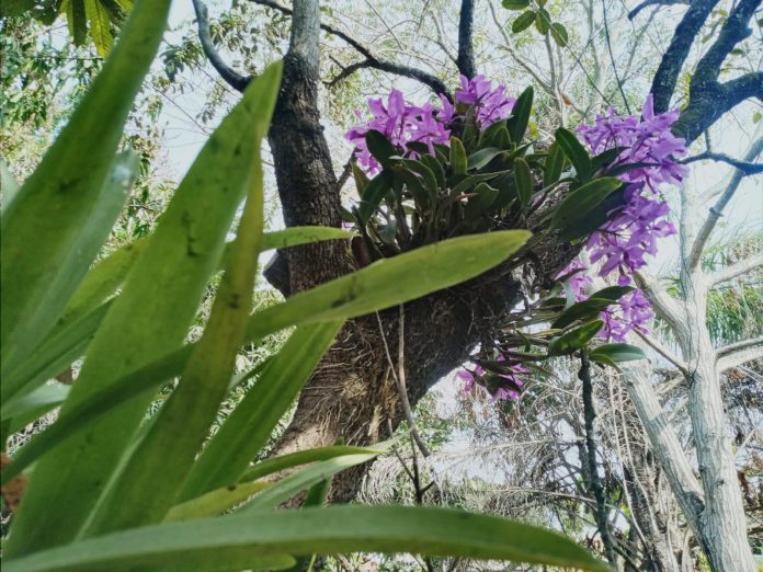 WhatsApp Image 2024-02-11 at 10.31.20 PM (1)