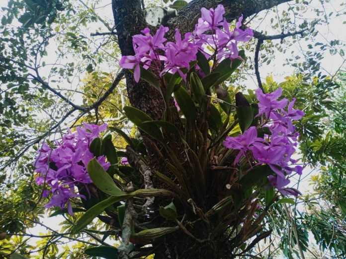 WhatsApp Image 2024-02-11 at 10.31.20 PM (2)