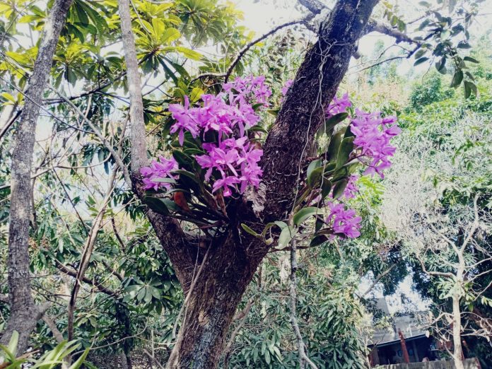 WhatsApp Image 2024-02-11 at 10.31.20 PM (3)