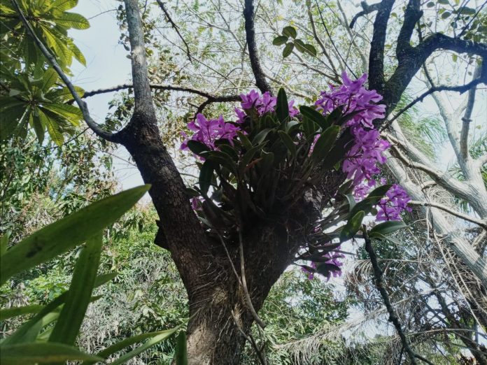 WhatsApp Image 2024-02-11 at 10.31.20 PM