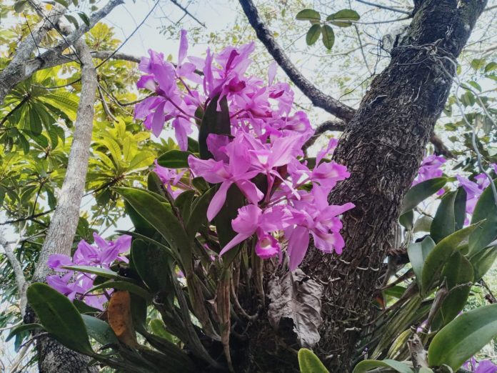 WhatsApp Image 2024-02-11 at 10.31.21 PM