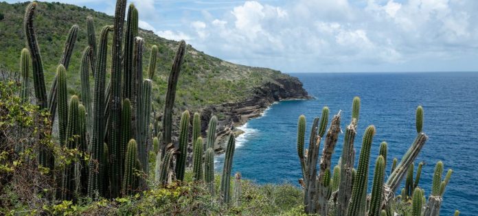 image1170x530cropped (12)