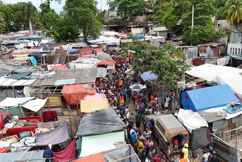 image350x235cropped (3)