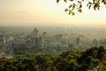 image350x235cropped (4)