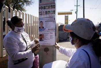 image350x235cropped (8)